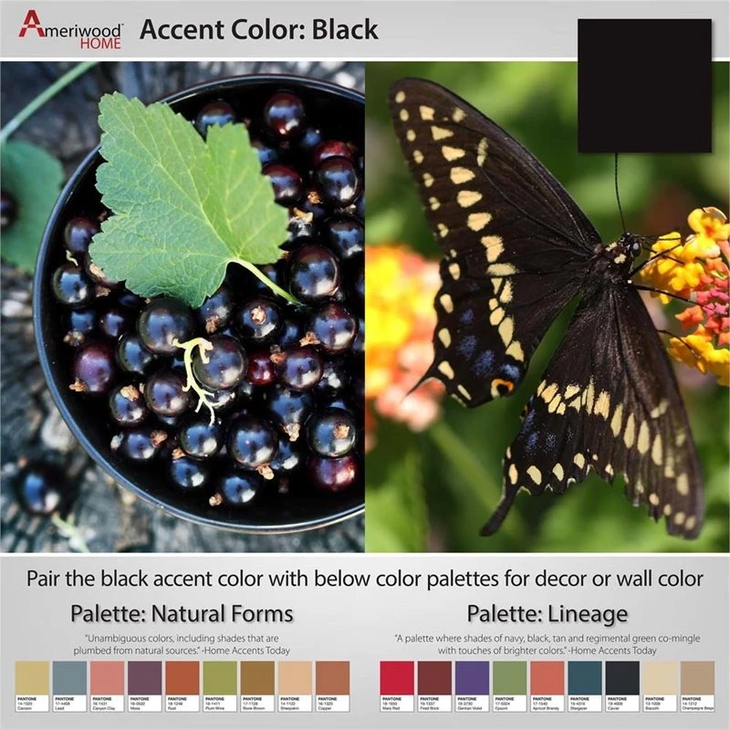 Ameriwood Home Ellington Double Door Accent Cabinet In Black 2 Ameriwood Home Ellington Double Door Accent Cabinet In Black - Image 2