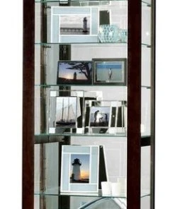 Howard Miller® Howard Miller Saloman Curio